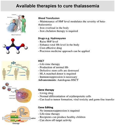 beta thalassaemia treatment|Treatment of Thalassemias .